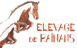 logo de l'Elevage de Rainans dirigé par Marielle Devillers